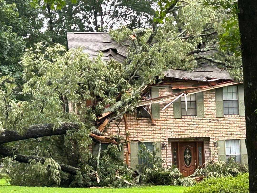 House severely damaged by fallen tree, with branches on the roof and yard.